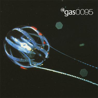 gas0095_378.jpg