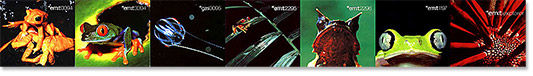 Emit artwork Emit artwork