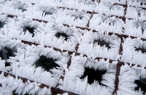 Hoar frost on a grill